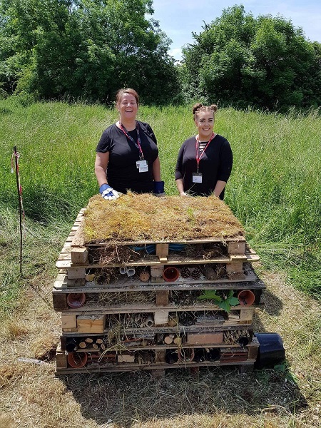 Blaby DC bug hotel